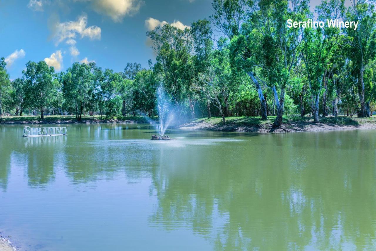 Settlers Cottage Mclaren Vale Buitenkant foto
